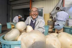 　伝統野菜「弘岡カブ」を扱う「石元食品」先代社長の石元健二さん＝４日、高知市