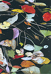 柳沼利行さんの「秋の彩り」